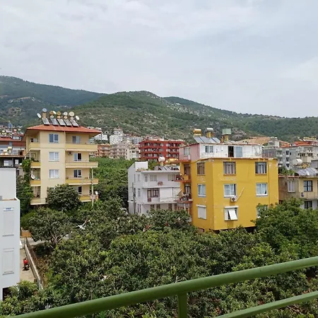 Lila Butık 3*